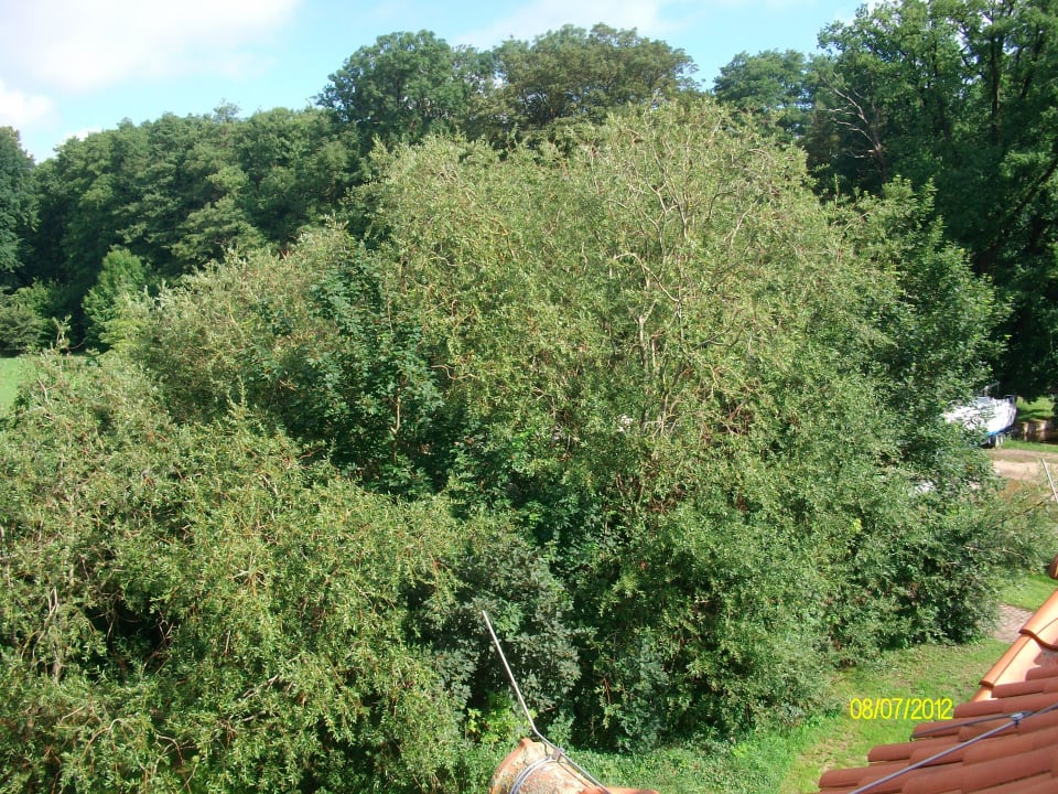 Ausblick Zimmer BIO Hotel Gutshof Insel Usedom