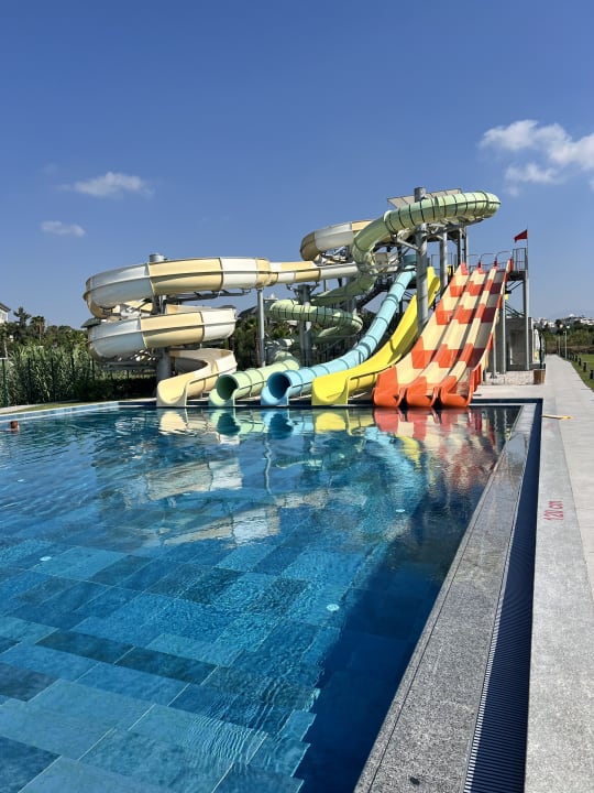 Pool Hotel Novum Garden Side