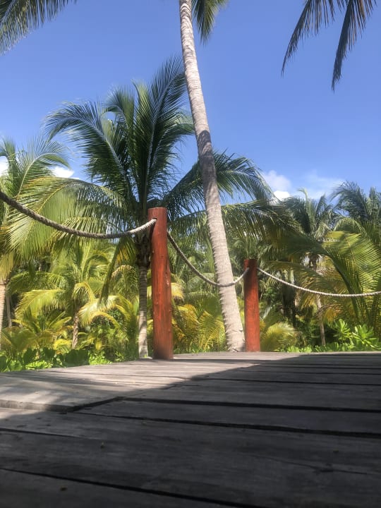 Gartenanlage Akumal Bay Beach & Wellness Resort