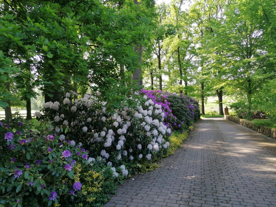 Gartenanlage Beekenhof