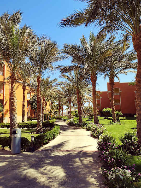 Gartenanlage Sentido Caribbean World Soma Bay