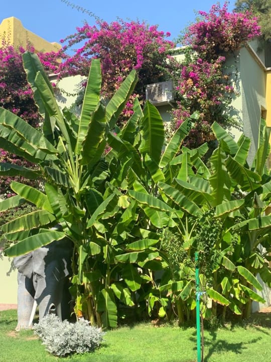 Gartenanlage VONRESORT Golden Coast