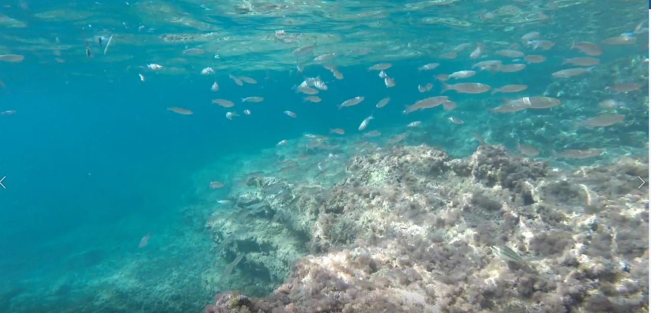 Strand Riviera Spa Resort - Adults Only