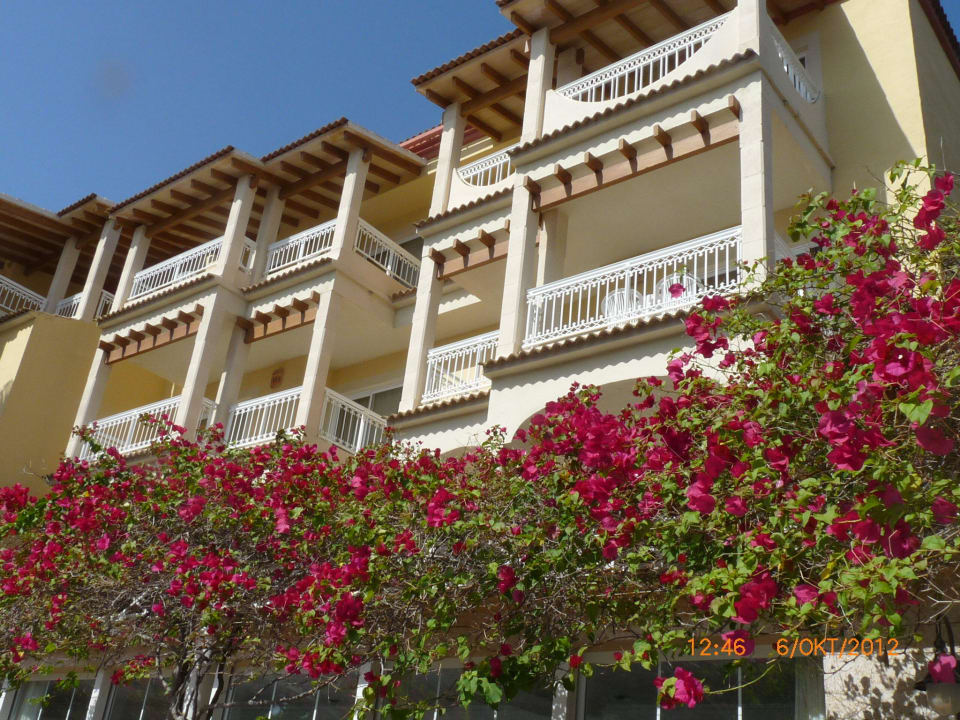 Wunderschöne Blumen ranken sich am Gebäude  Zafiro Bahia