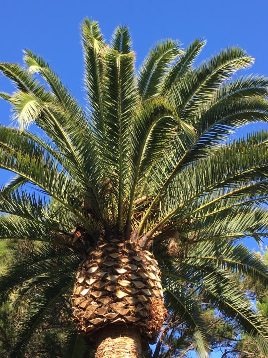 Lobby Aldiana Club Rocca Nettuno Calabria