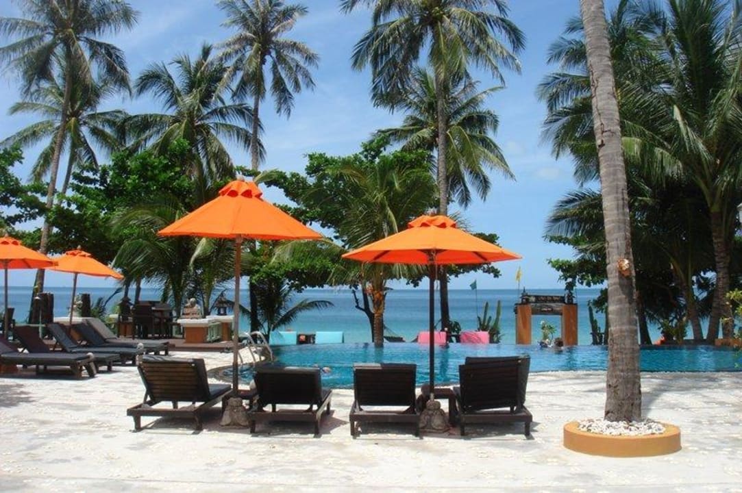 Pool Side  Pariya Resort & Villas Koh Phangan