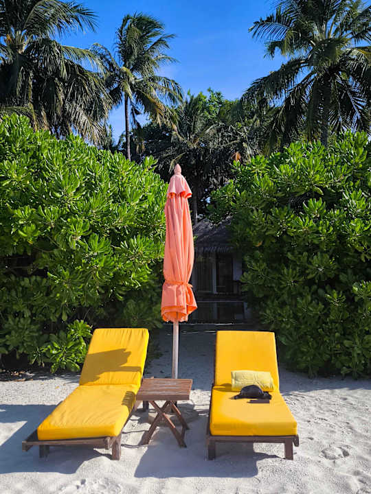 Zimmer Angsana Velavaru