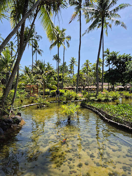 Gartenanlage Paradisus by Melia Bali