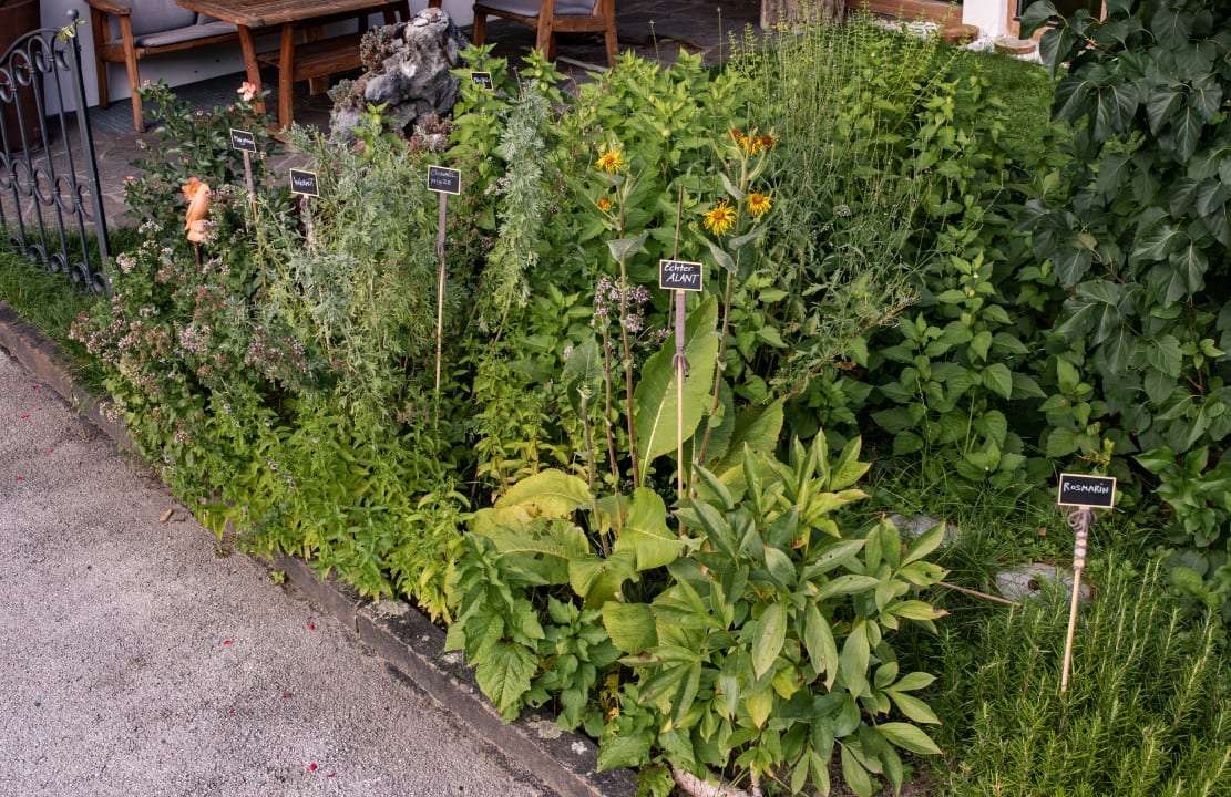Gartenanlage FLORA - Das kleine Gartenhotel