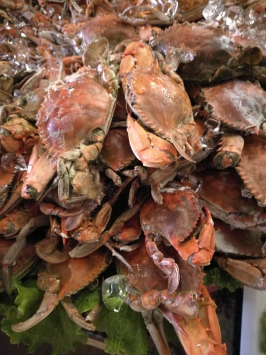 Gastro Megasaray Club Belek