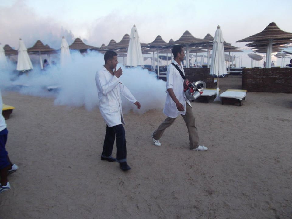 Der Gasmann kommt... Prima Life Makadi Resort
