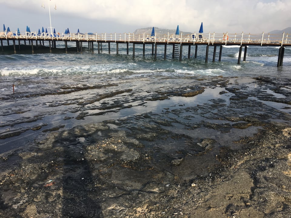 Strand Sunprime C-Lounge