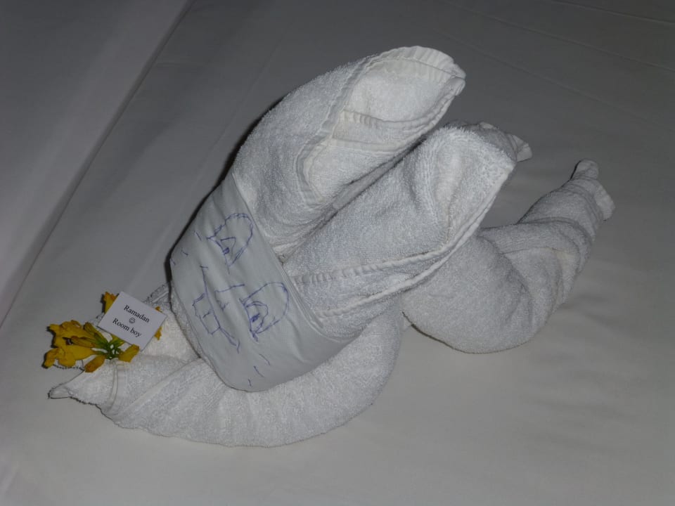 Häschen Jaz Dar EL Madina