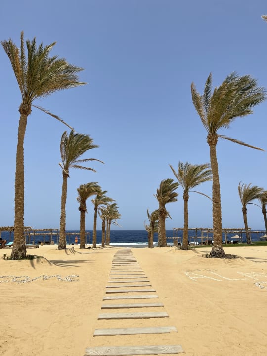 Strand Steigenberger Resort Alaya Marsa Alam - Red Sea - Adults only
