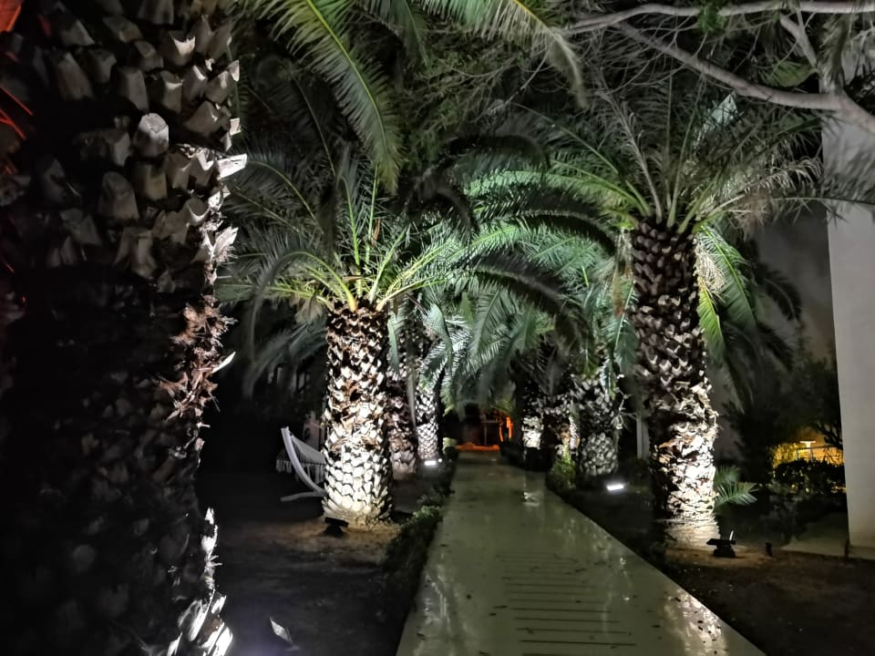 Gartenanlage Latanya Park Resort