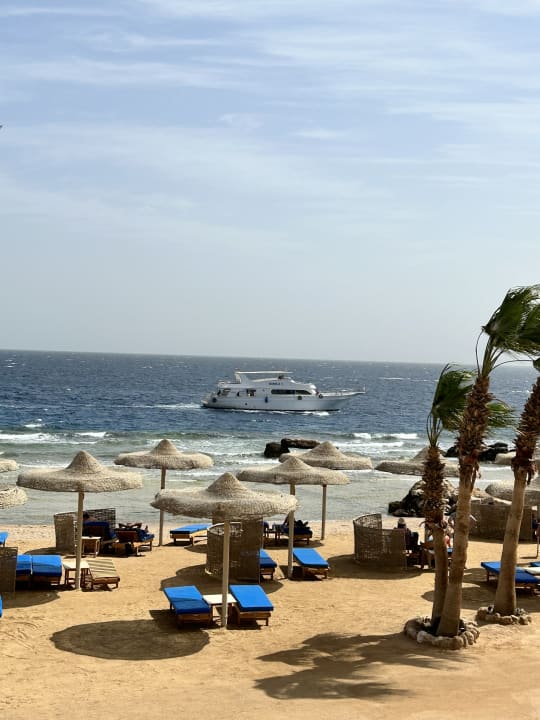 Strand Pickalbatros Citadel Resort