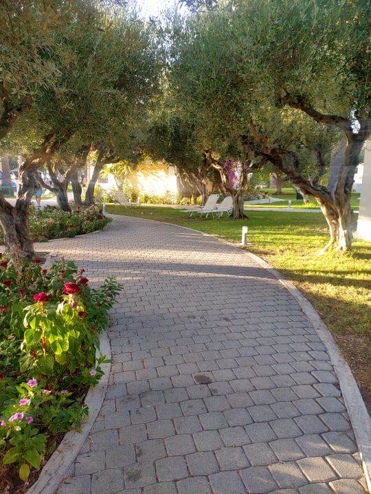 Gartenanlage TUI KIDS CLUB Alex Beach