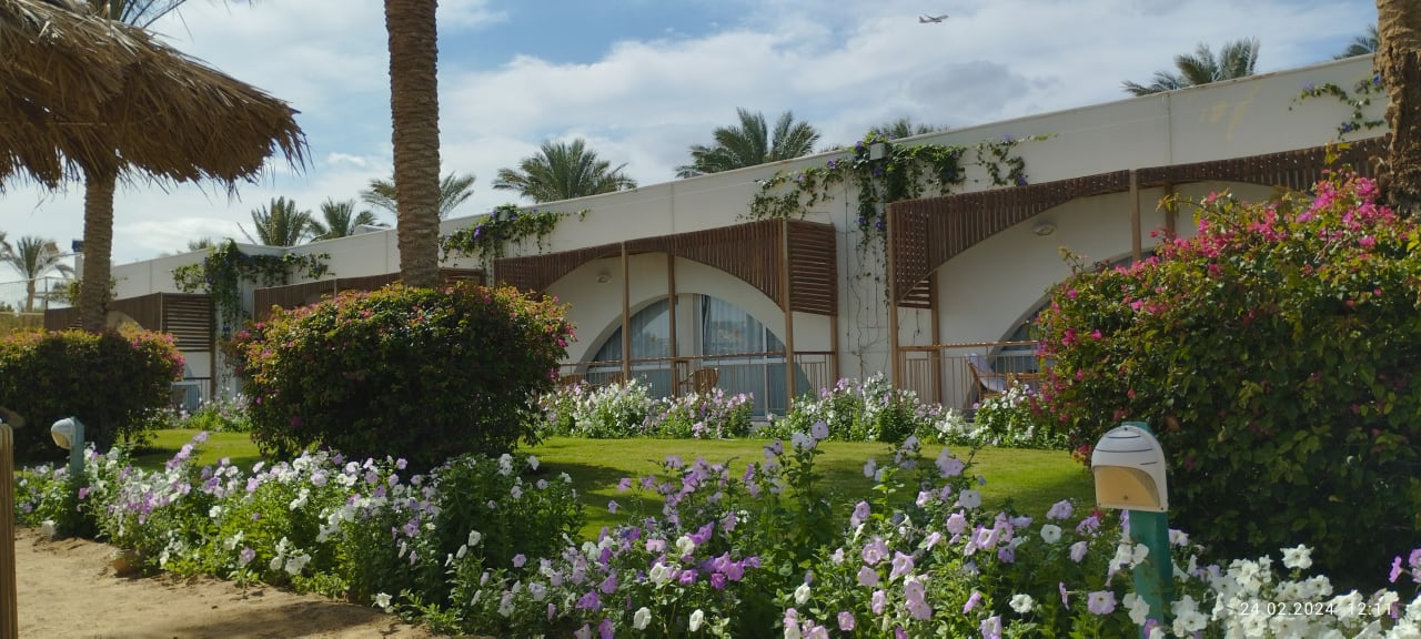 Außenansicht Desert Rose