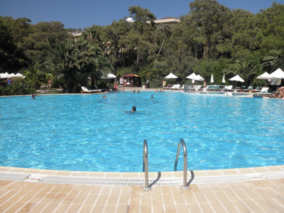 Activity Pool TUI MAGIC LIFE Sarigerme