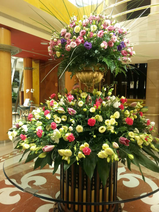 Neuer Blumenschmuck allsun Hotel Bella Paguera