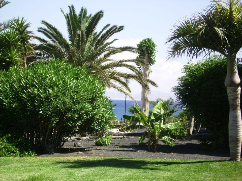 Gartenanlage im Hotel Dreams Lanzarote Playa Dorada Resort & Spa