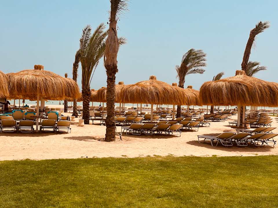 Strand JAZ Elite Asteria