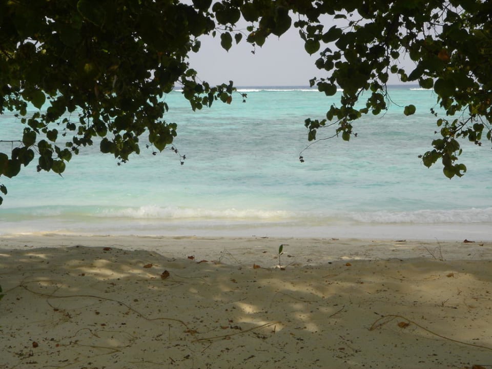 Beach from terrace to the beach at Velavaru Island Angsana Velavaru