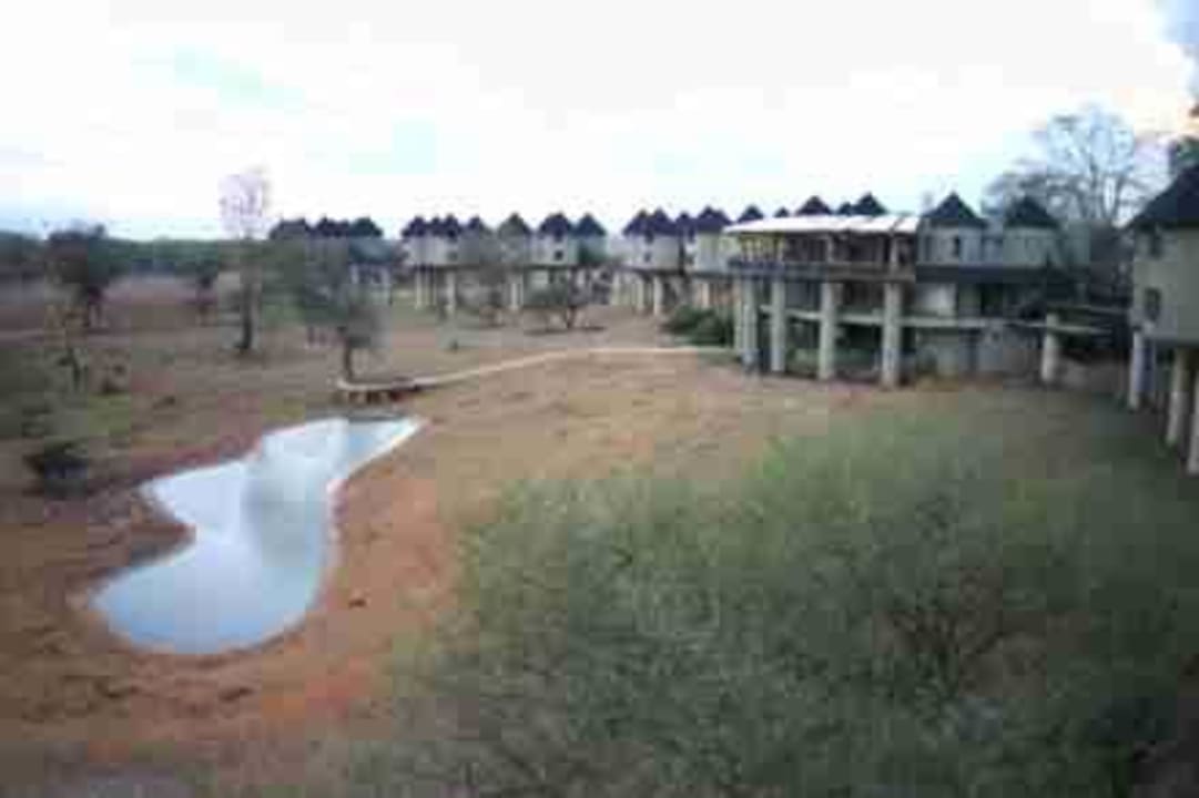 Salt Lick Lodge Salt Lick Safari Lodge