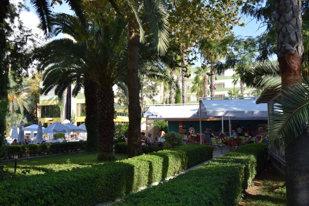 Pool Bar Hotel Botanik Platinum