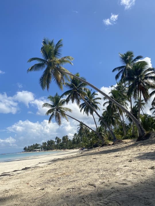 Strand Bahia Principe Grand El Portillo