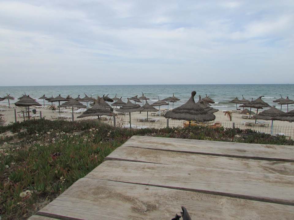 Blick auf den Strand El Ksar Resort & Thalasso