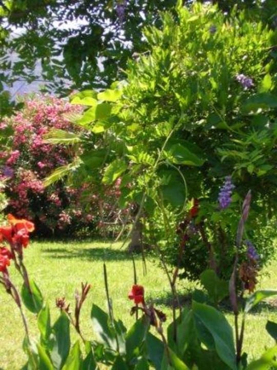 Anatolia Resort, Garten Hotel Anatolia Resort