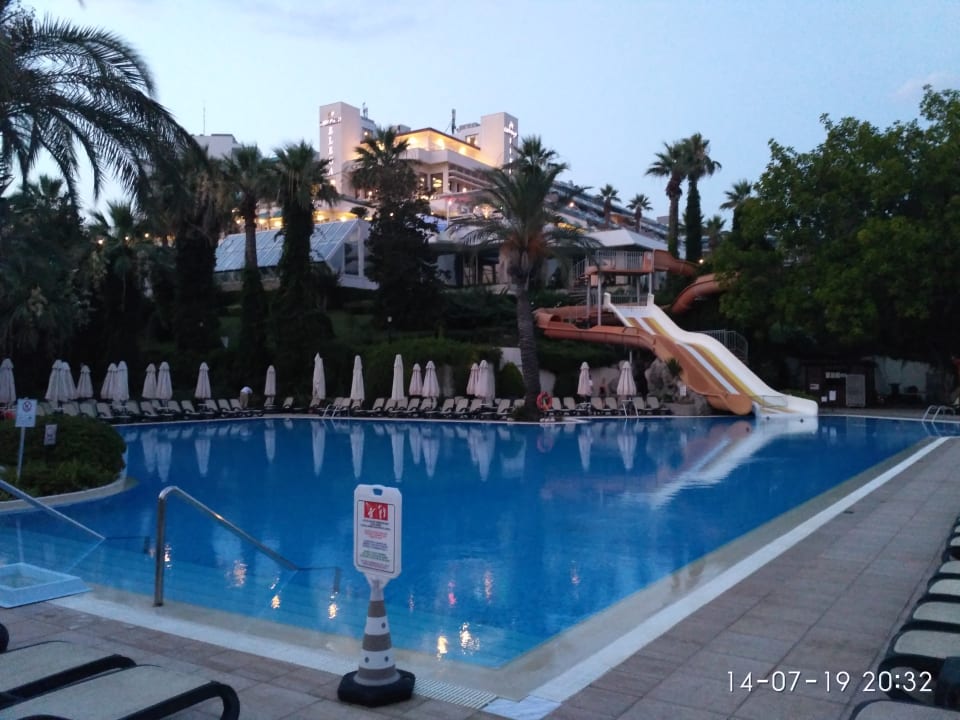 Pool Side Star Elegance