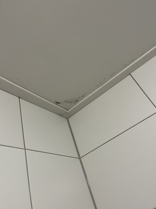 Zimmer Roompot Weerterbergen
