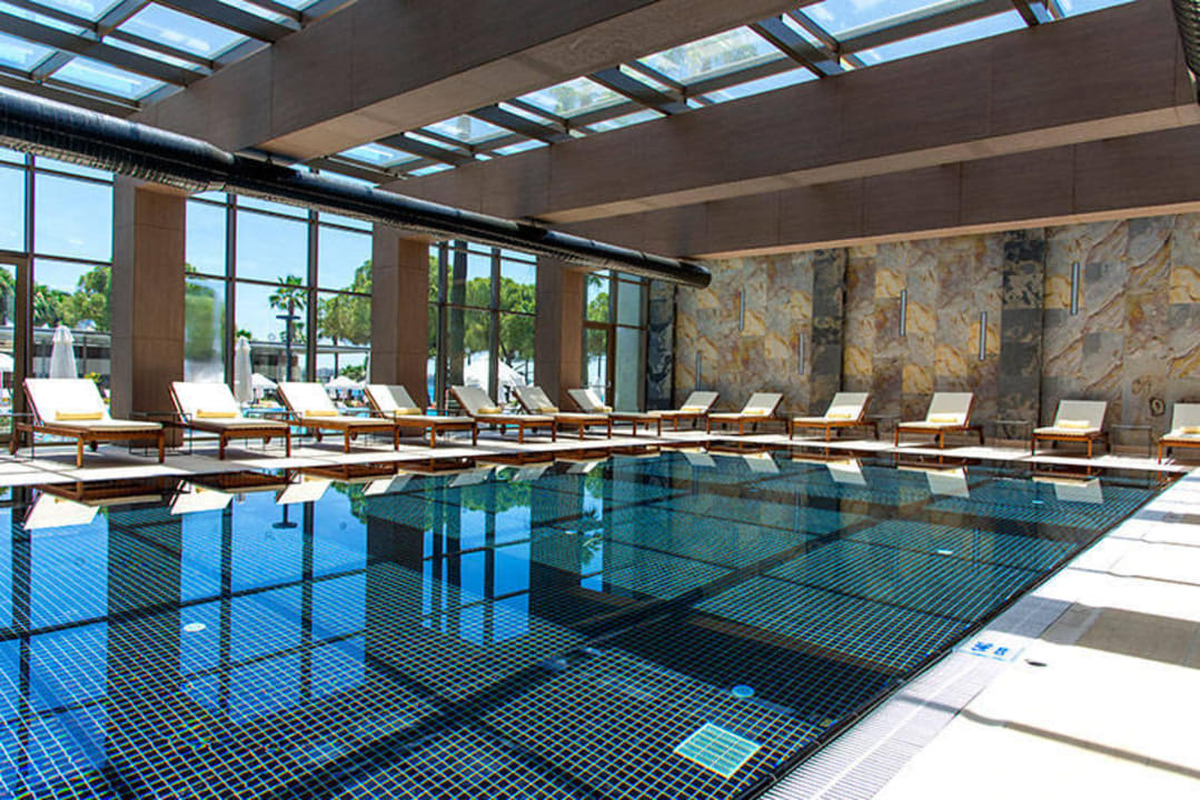 Indoor Pool Acanthus Cennet Barut Collection