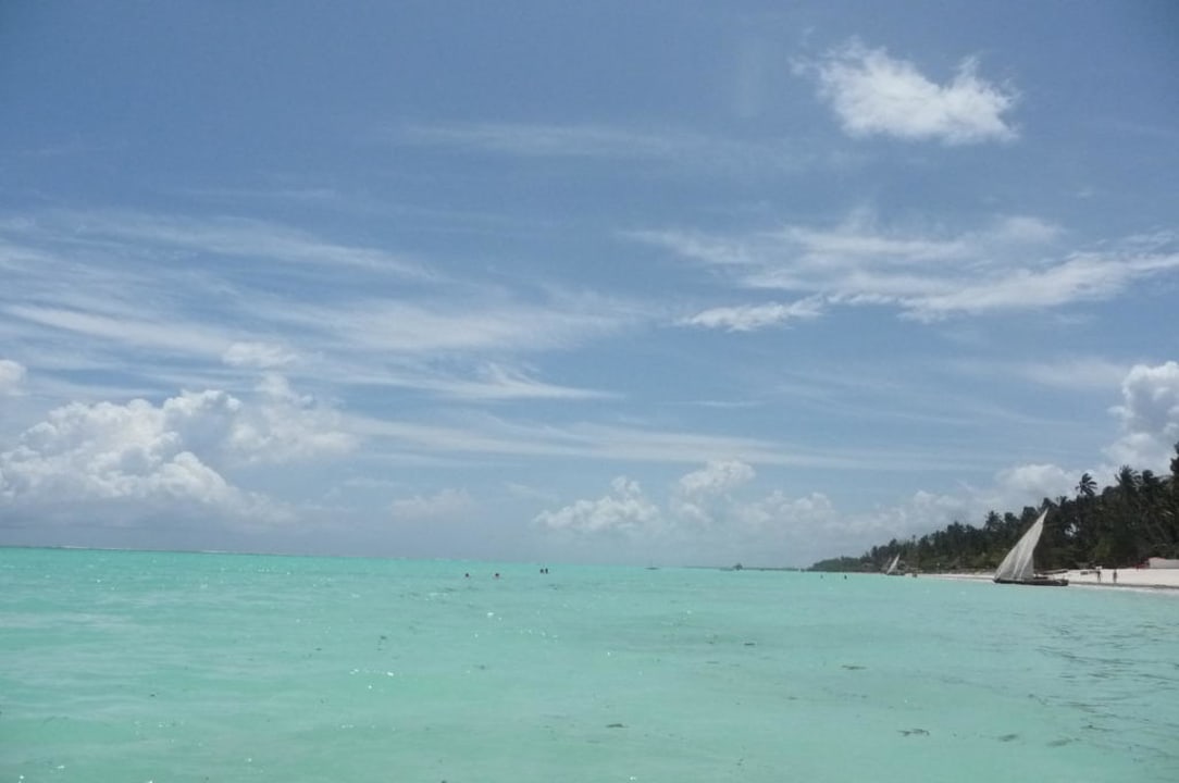 Aus dem Wasser TUI Blue Bahari Zanzibar