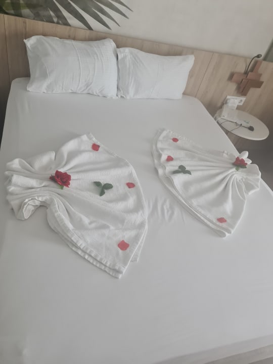 Zimmer Side Stella Elite Resort & Spa