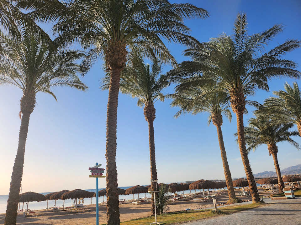 Strand Sentido Caribbean World Soma Bay