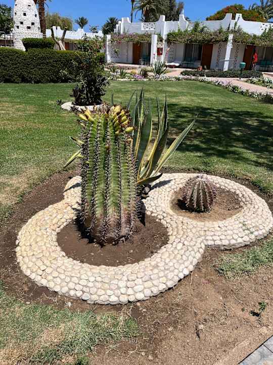 Außenansicht Shams Safaga Resort