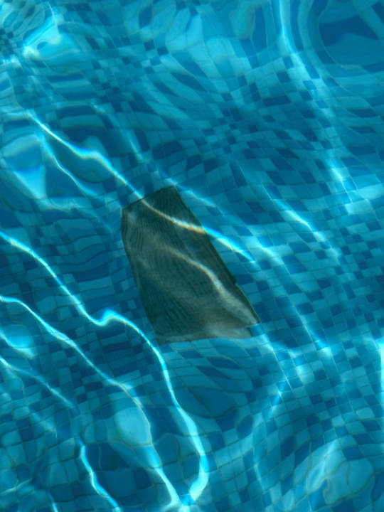 Pool Millennium Resort Salalah