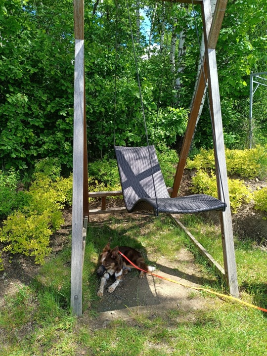 Sport & Freizeit Spirit & SPA Hotel Birkenhof am Elfenhain