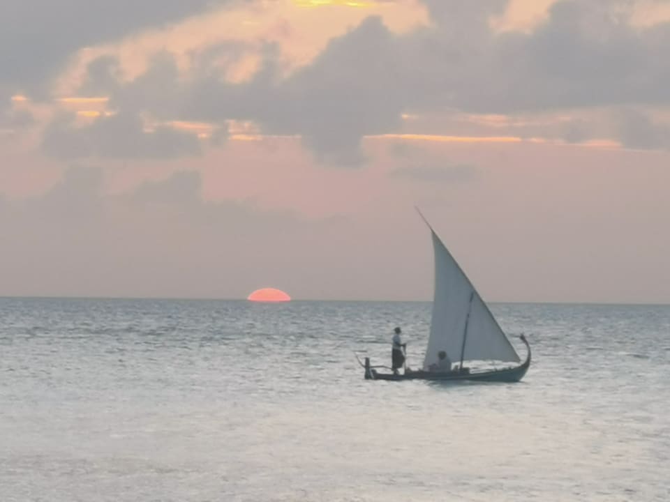 Ausblick Summer Island Maldives