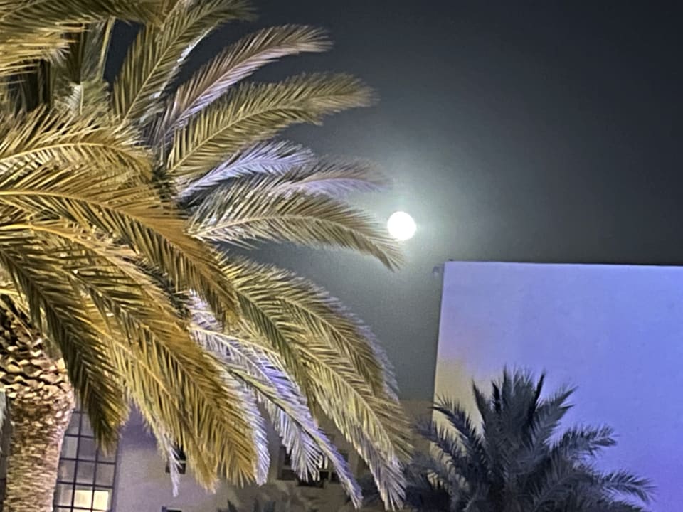 Sonstiges Hotel JAZ Tour Khalef