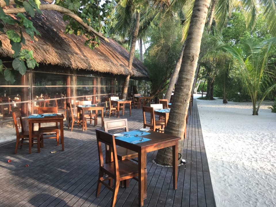 Restaurant. Summer Island Maldives