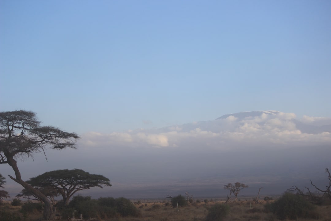 Ausblick Ol Tukai Lodge