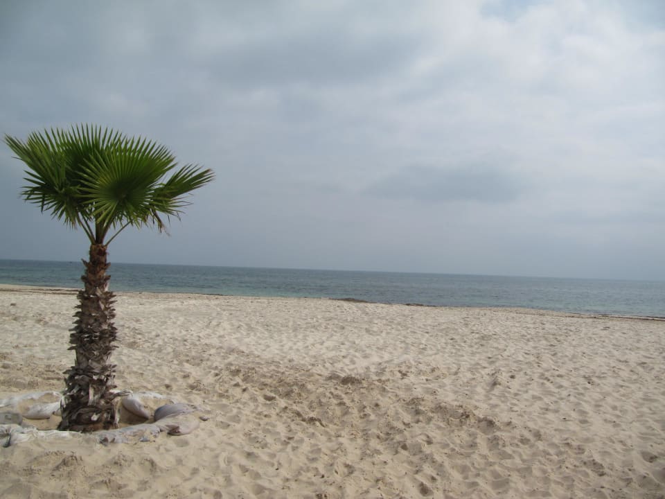 Plaża Hotel El Mouradi Palm Marina