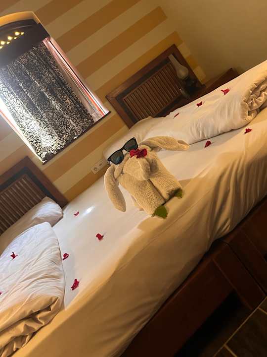 Zimmer Radisson Blu Resort, El Quseir