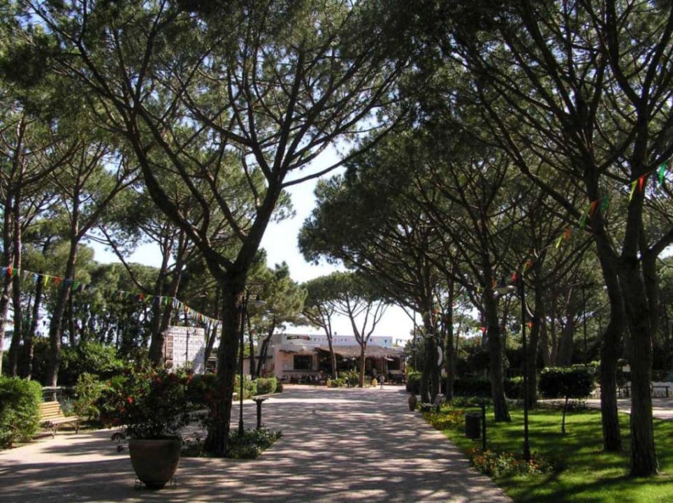 Aussenlage mit Strandbar Riva im Hintergrund Riva del Sole Resort & SPA