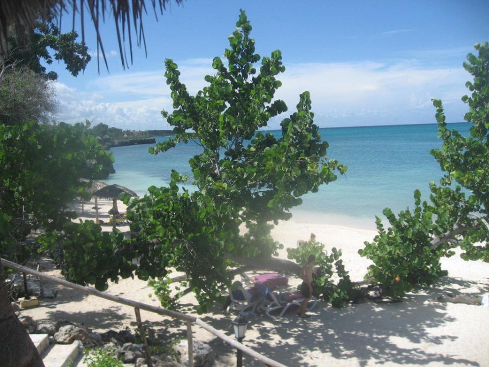 Unsere Lieblingsbucht Paradisus Rio de Oro Resort & Spa - Adults only