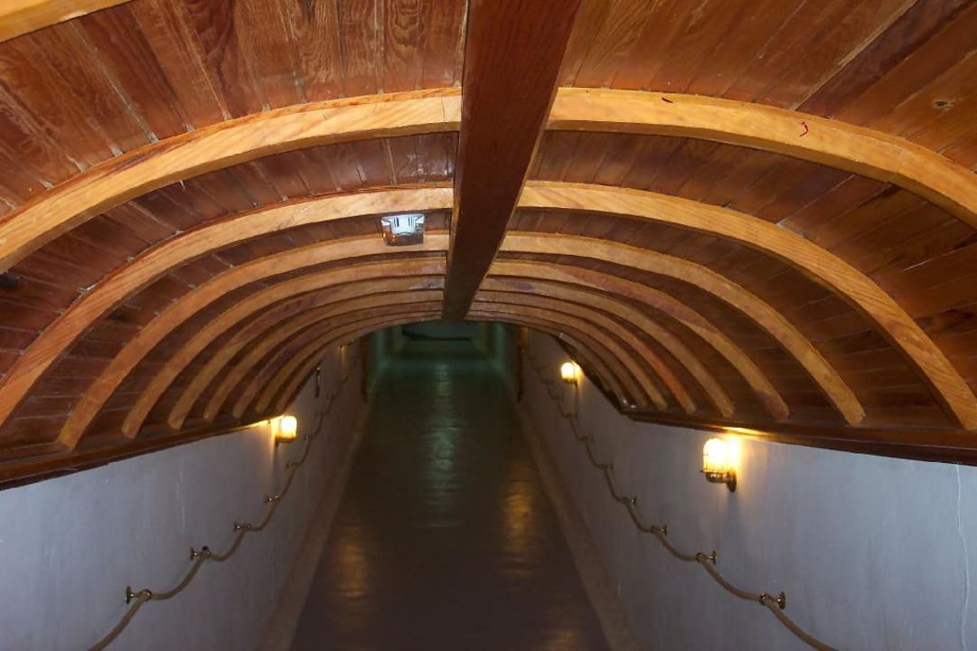 hOTEL FLORA Hotel THB Flora